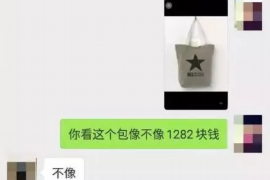 甘肃为什么选择专业追讨公司来处理您的债务纠纷？